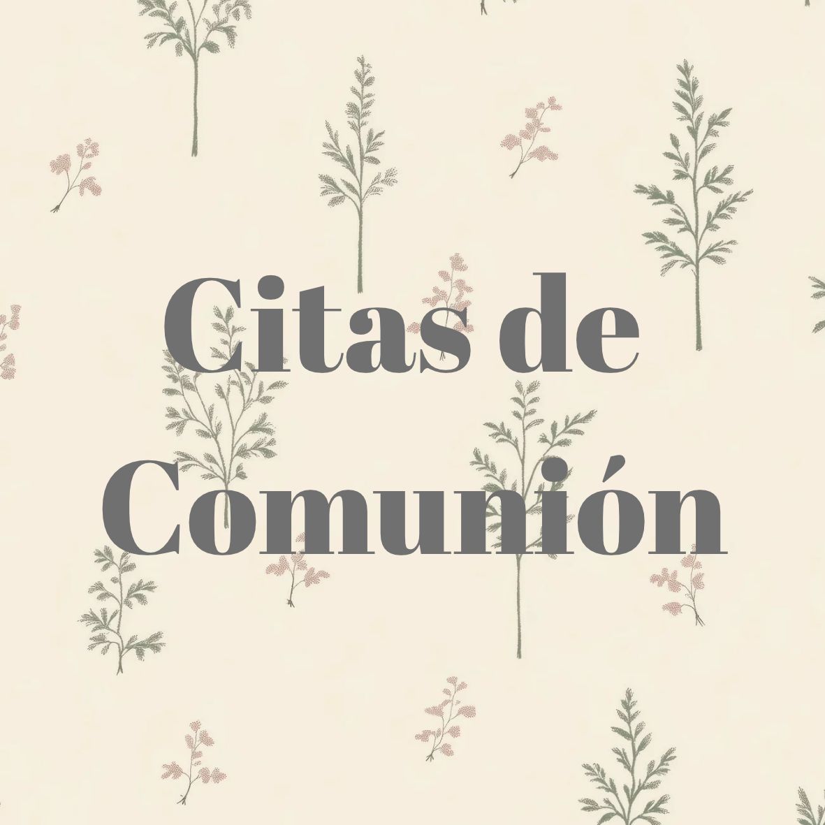 Cita Comunión